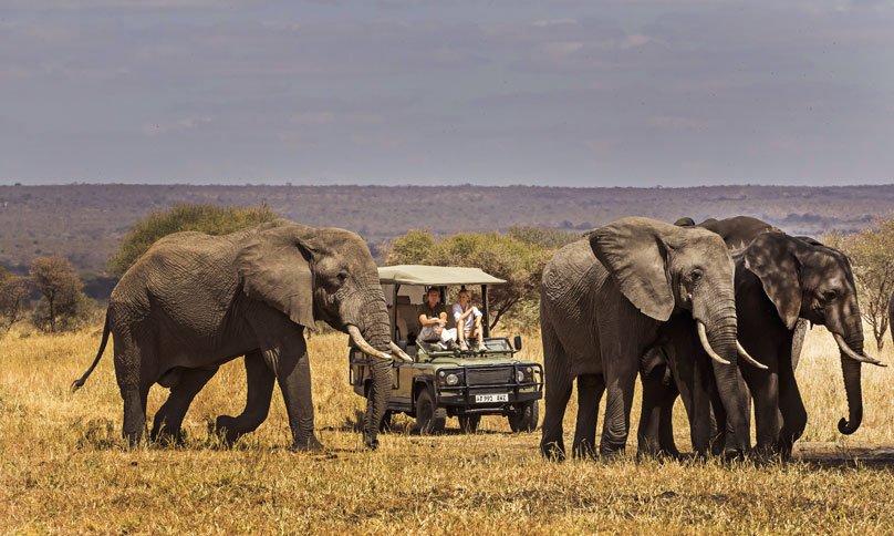 2 Tage Tarangire-Nationalpark-Safari